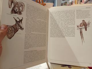 Guia del Naturalista Gerald Durrell