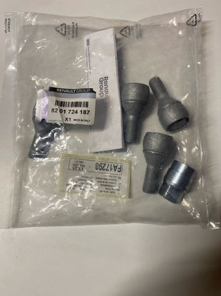Tornillos antirrobo Renault (4 unidades)