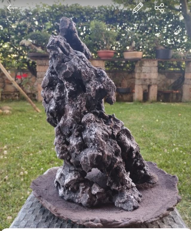 Struttura vaso ishizuki bonsai