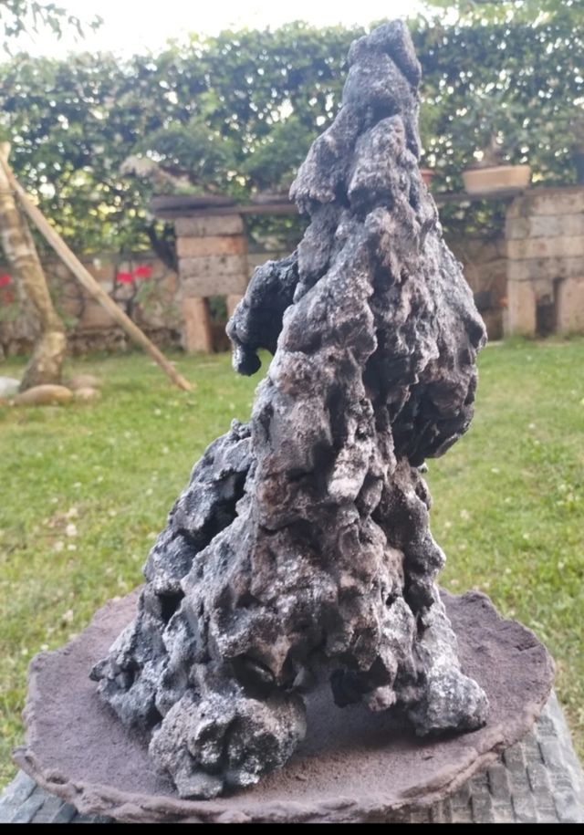 Struttura vaso ishizuki bonsai