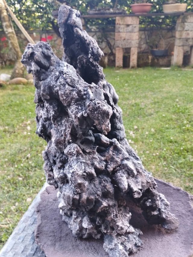 Struttura vaso ishizuki bonsai