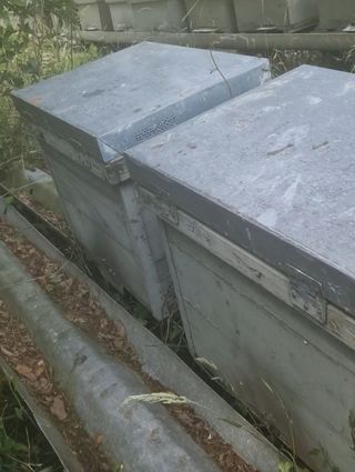 Colmenas Layen por cambiar a perfección