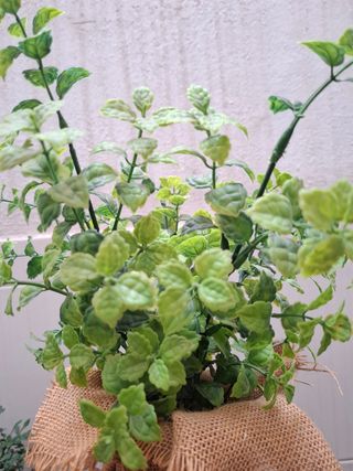 Planta lavanda artificial - maceta yute