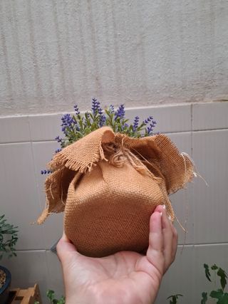 Planta lavanda artificial - maceta yute