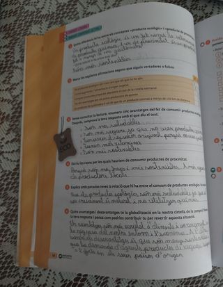 Sextant 3 ESO. Llengua catalana