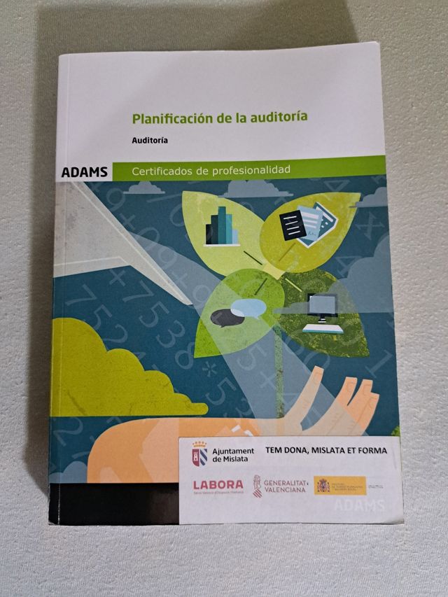 Planificación de la Auditoría (UF0317)