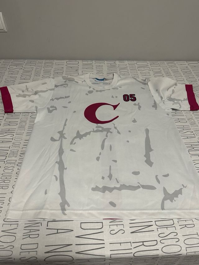 LOTE Chándal y 2 Camisetas Colegio Casvi Talla 16