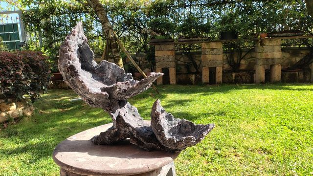 Vaso Bonsai Pietra Luna