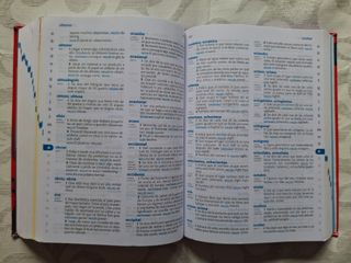 Diccionario de Primaria (Spanish Edition)