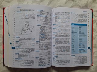 Diccionario de Primaria (Spanish Edition)