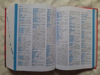 Diccionario de Primaria (Spanish Edition)