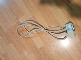 Cable SCSI 