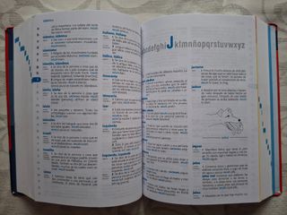 Diccionario de Primaria (Spanish Edition)