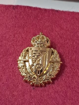 Insignia Real Valladolid CF