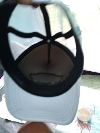 Gorra Vans gris - Off The Wall