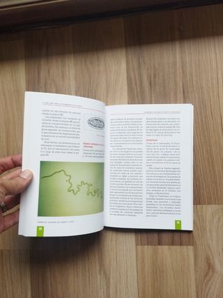 Enfermedades de los peces