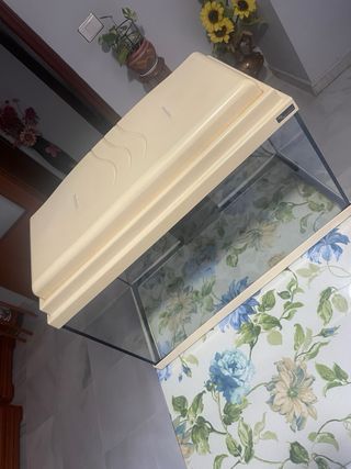 Acuario Aquatlantis 60L - Beige