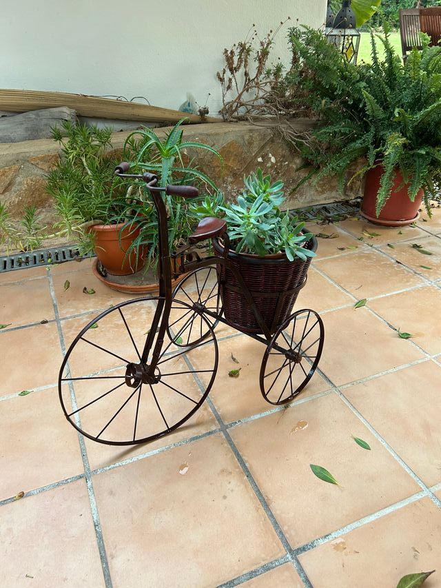Triciclo maceta vintage