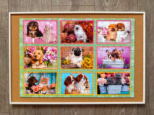 3 Puzzles Clementoni: Pattie, Perros, Dinosaurios