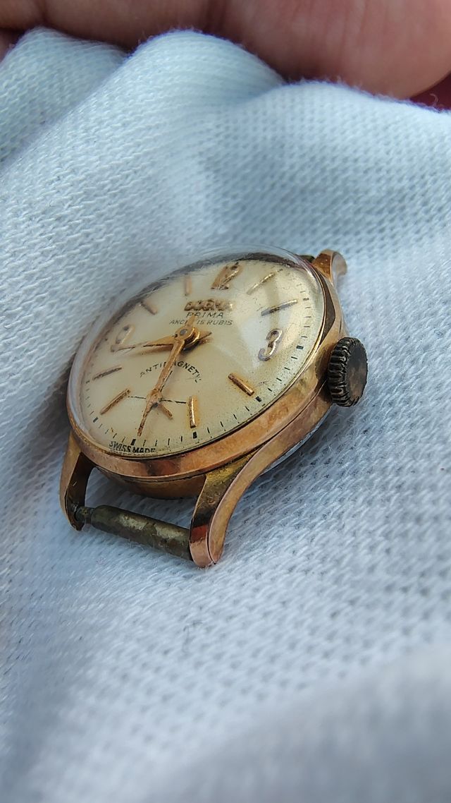 Reloj Dogma Prima mujer