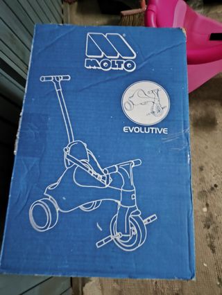 Triciclo infantil evolutivo Molto
