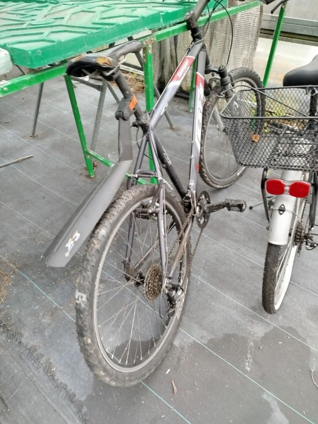 Bicicleta montaña BH Jumper