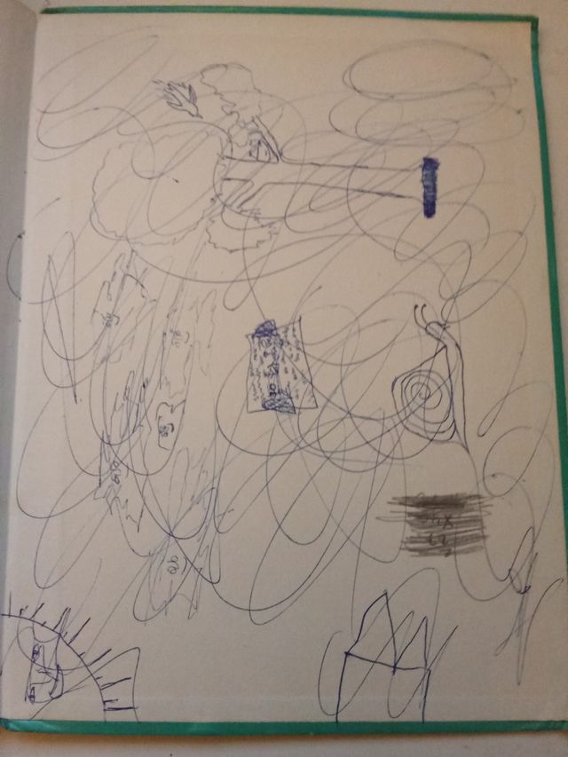 Libro Los Gatos - Editorial Teide