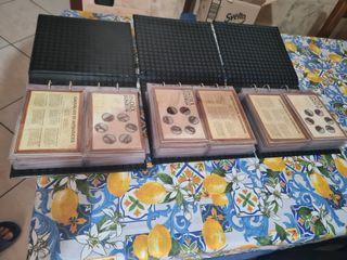 Monete 10 lire papa vaticano 45 pagine idea regalo