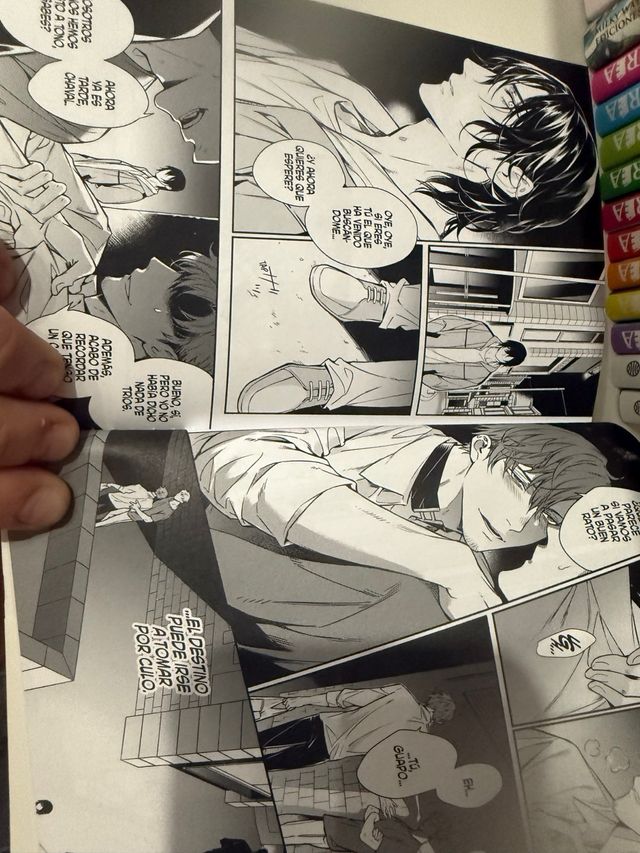 Goodbye to destiny manga yaoi