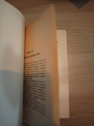 Misterio del gato comediante