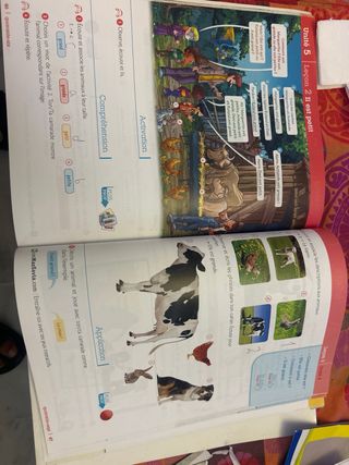 Francés Pirouette. 3 Primaria. Más Savia (Frenc...