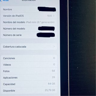 iPad mini 6 + Apple Pencil