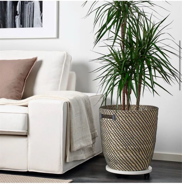 Macetero Ikea RÅGKORN trenzado