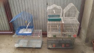 6 jaulas pájaros - blancas y azul