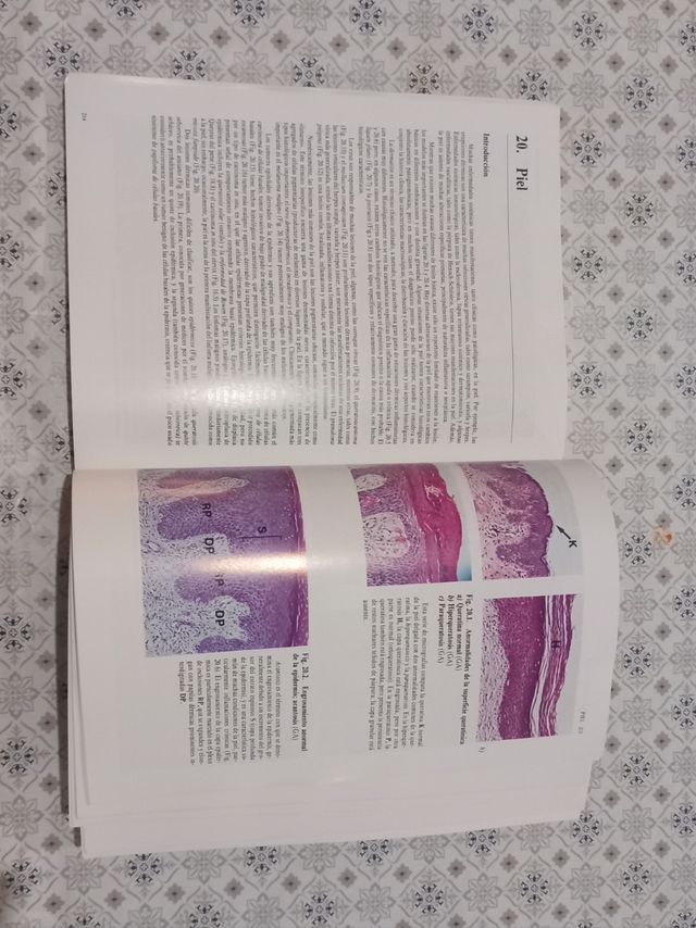 Histopatología Básica