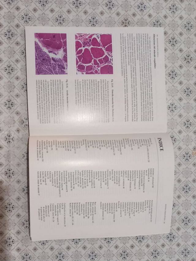 Histopatología Básica