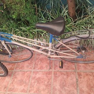 Bicicleta clásica