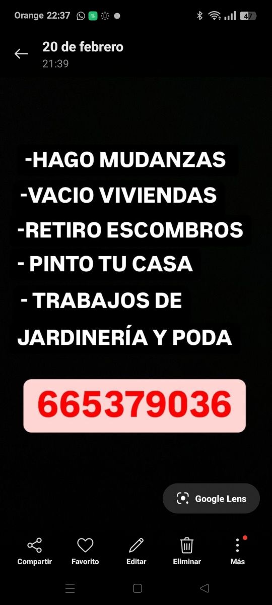 Mudanzas vaciados pintura o trabajos de jardinería