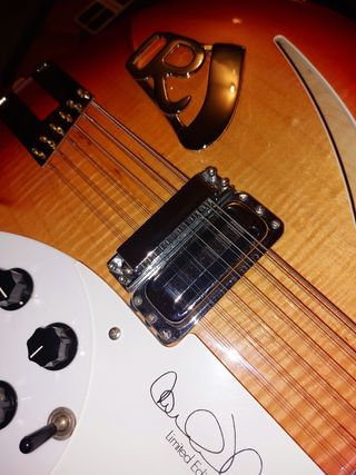 Rickenbacker 360/12 CW Signature (Carl Wilson).