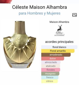 Maison Alhambra Celeste - Perfume Gold