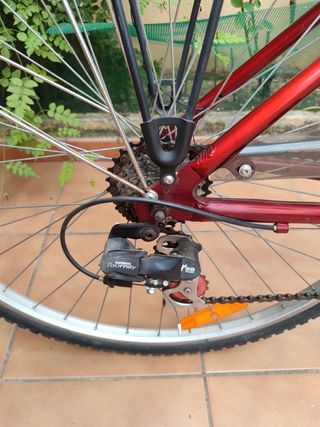 Bicicleta paseo Proflex