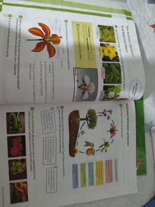 Natural Science. 3 Primary. Revuela. Castilla y...