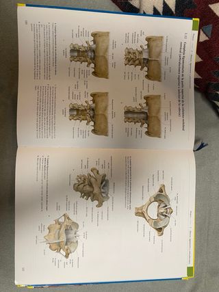 Colección Prometheus: Texto y Atlas de Anatomia...
