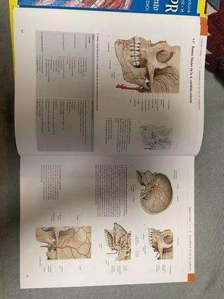 Colección Prometheus: Texto y Atlas de Anatomia...