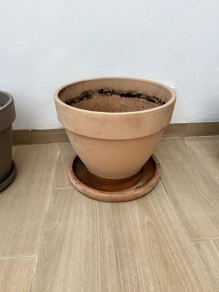 Maceteros barro: beige y marrón