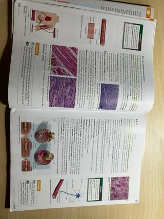 Inicia Biología y Geología 1.º Bachillerato. Li...