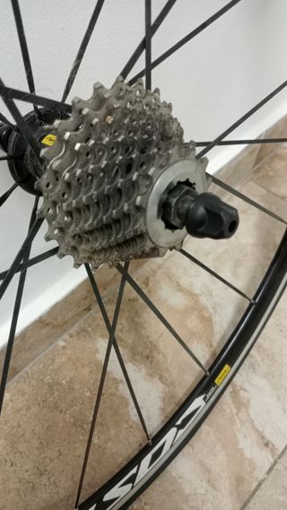 Rueda mavic Cosmic Elite trasera