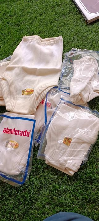 LOTE Calzoncillos Abanderado