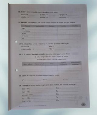 A Grande Aventura Português 4º Fichas Avaliação