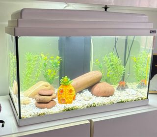 Acuario 55 litros blanco